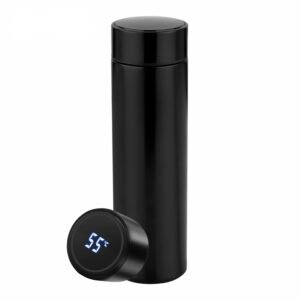Temperature display bottle
