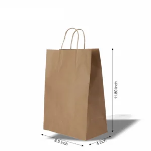 PAP Eco 01